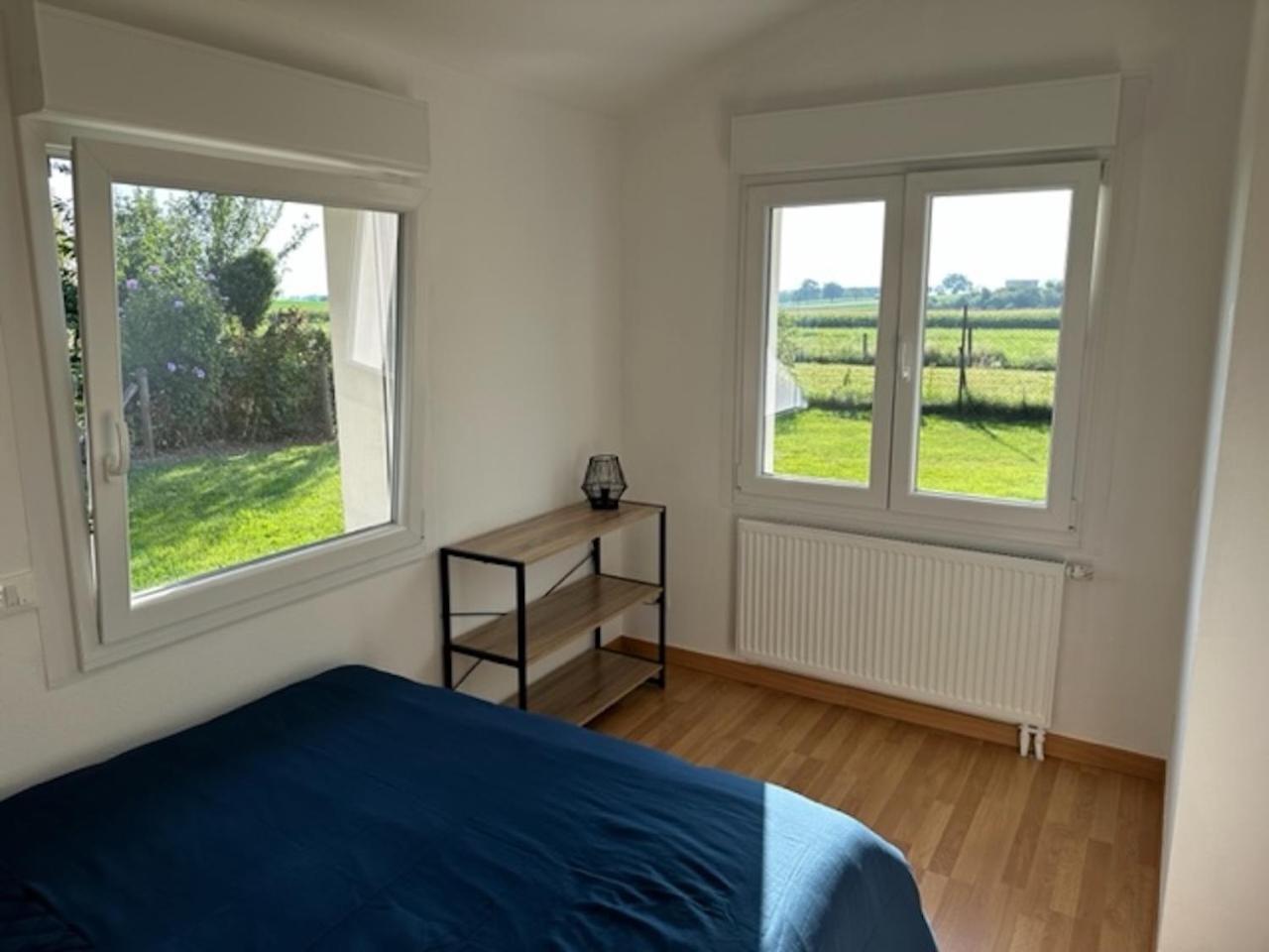 Le Nid Du Moulin Apartment Batzendorf Exterior photo